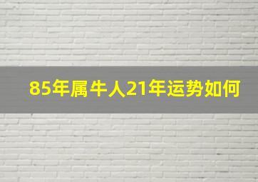 85年属牛人21年运势如何