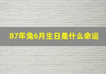 87年兔6月生日是什么命运