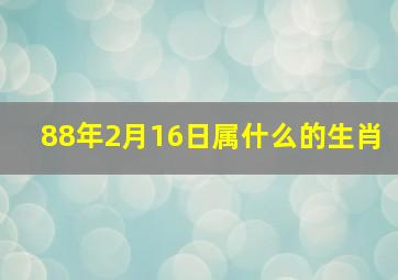 88年2月16日属什么的生肖