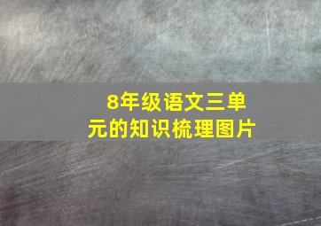 8年级语文三单元的知识梳理图片