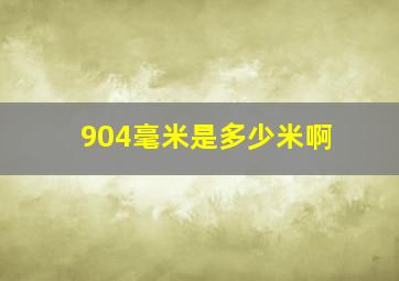 904毫米是多少米啊