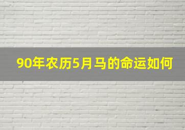 90年农历5月马的命运如何