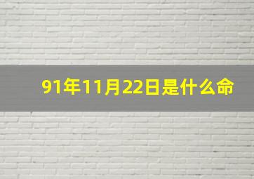 91年11月22日是什么命