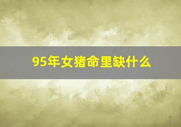 95年女猪命里缺什么