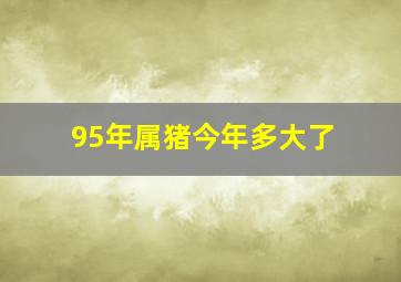 95年属猪今年多大了