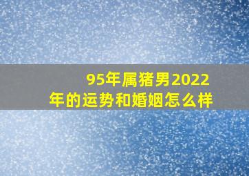 95年属猪男2022年的运势和婚姻怎么样