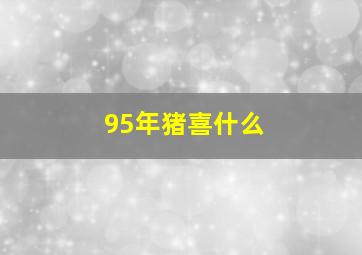 95年猪喜什么