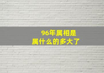 96年属相是属什么的多大了