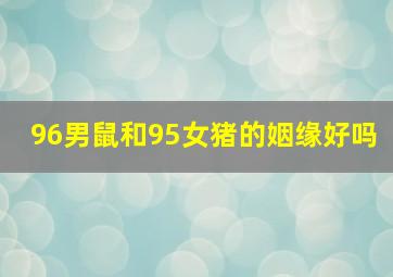 96男鼠和95女猪的姻缘好吗