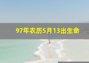 97年农历5月13出生命