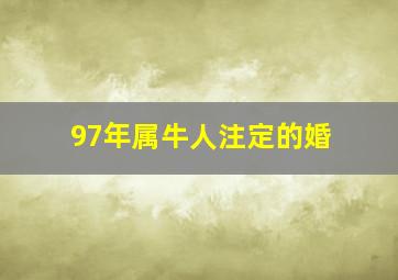 97年属牛人注定的婚