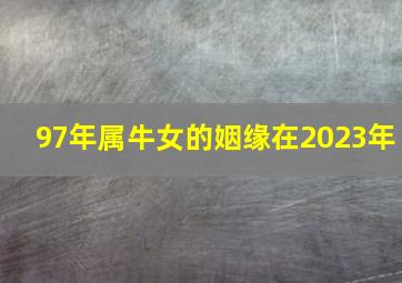 97年属牛女的姻缘在2023年