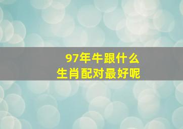 97年牛跟什么生肖配对最好呢