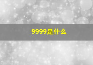 9999是什么