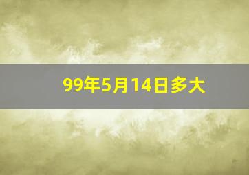 99年5月14日多大