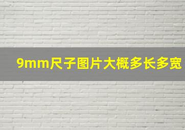 9mm尺子图片大概多长多宽