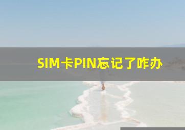 SIM卡PIN忘记了咋办