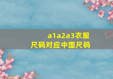 a1a2a3衣服尺码对应中国尺码