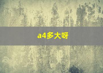 a4多大呀