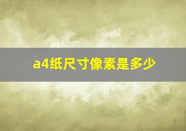 a4纸尺寸像素是多少