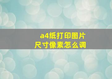 a4纸打印图片尺寸像素怎么调