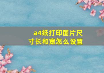 a4纸打印图片尺寸长和宽怎么设置