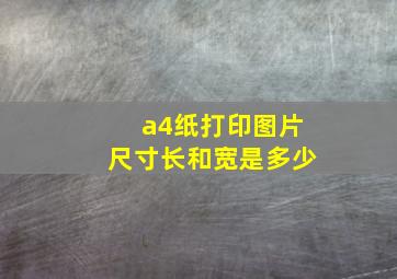 a4纸打印图片尺寸长和宽是多少