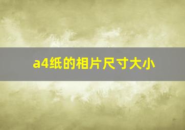 a4纸的相片尺寸大小