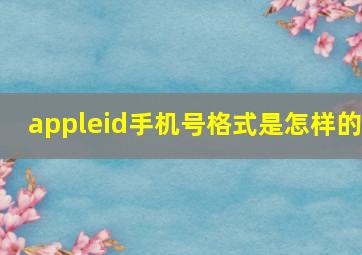 appleid手机号格式是怎样的