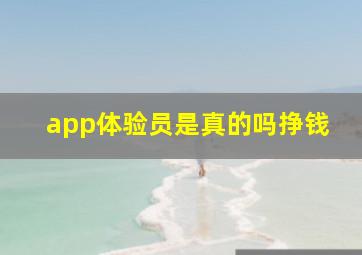 app体验员是真的吗挣钱