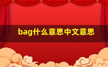 bag什么意思中文意思