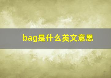 bag是什么英文意思