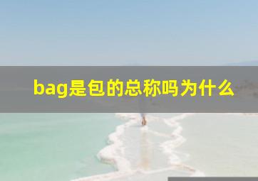 bag是包的总称吗为什么