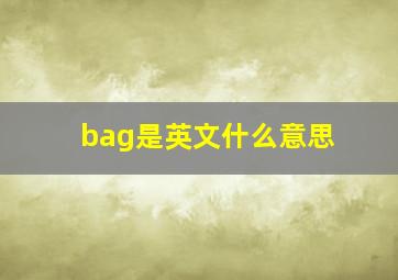 bag是英文什么意思