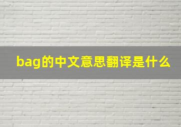 bag的中文意思翻译是什么