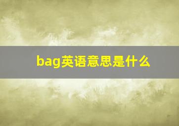 bag英语意思是什么