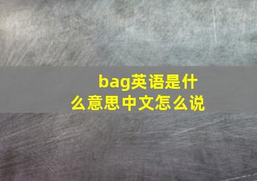 bag英语是什么意思中文怎么说