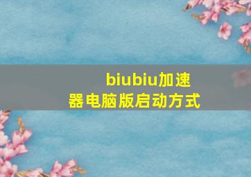 biubiu加速器电脑版启动方式