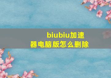 biubiu加速器电脑版怎么删除