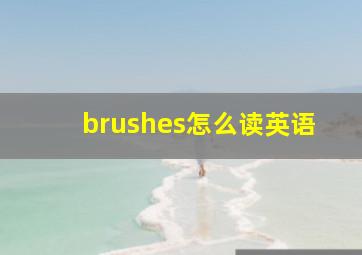 brushes怎么读英语