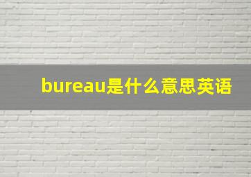 bureau是什么意思英语