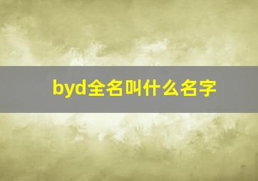 byd全名叫什么名字