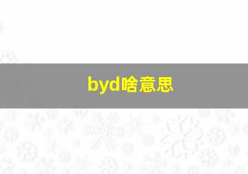 byd啥意思