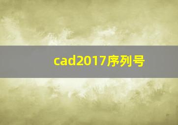 cad2017序列号