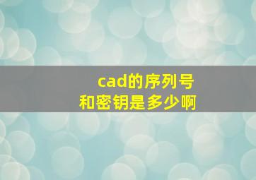 cad的序列号和密钥是多少啊