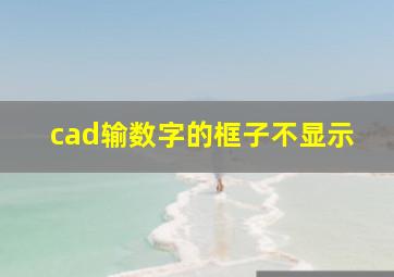 cad输数字的框子不显示