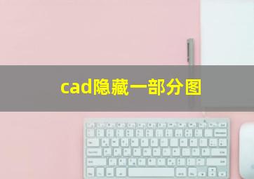 cad隐藏一部分图