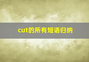 cut的所有短语归纳