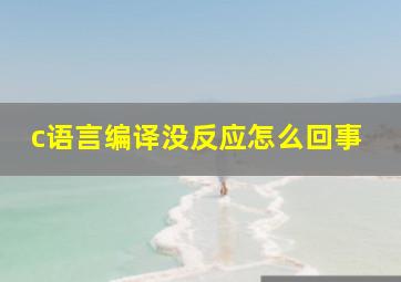 c语言编译没反应怎么回事