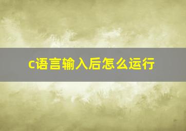 c语言输入后怎么运行